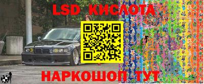 спиды Кимры