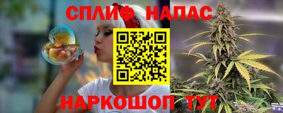 спиды Кинель