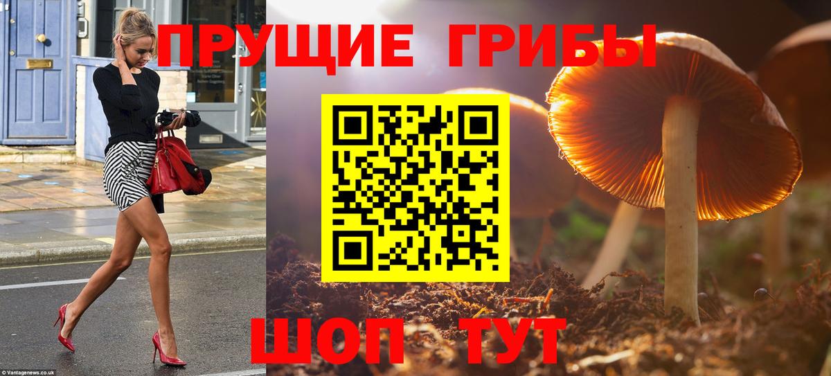 Галлюциногенные грибы GOLDEN TEACHER  Вход с VPN  Ульяновск 